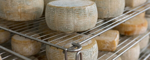traitement d'air de l'affinage du fromage
