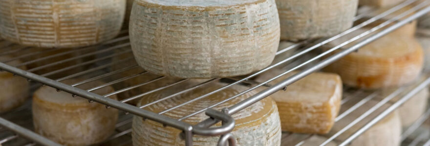 traitement d'air de l'affinage du fromage